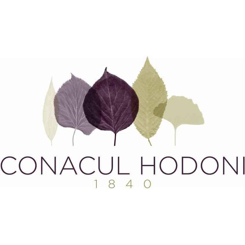 Conacul Hodoni