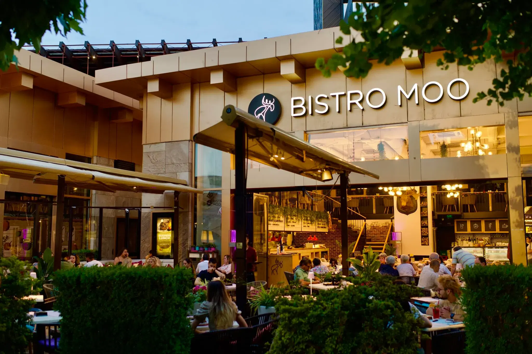 Bistro Moo