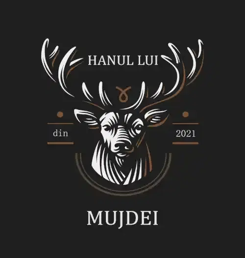 Hanul Lui Mujdei