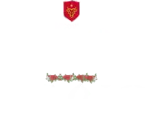 Casa Baciu