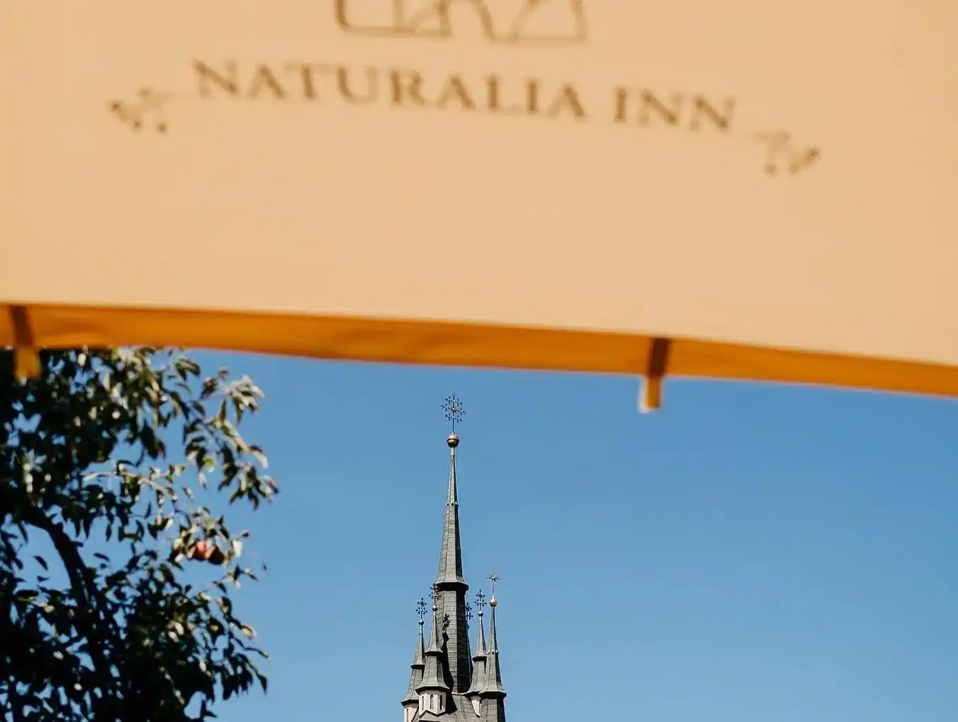 Naturalia Inn