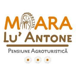 Moara lu Antone