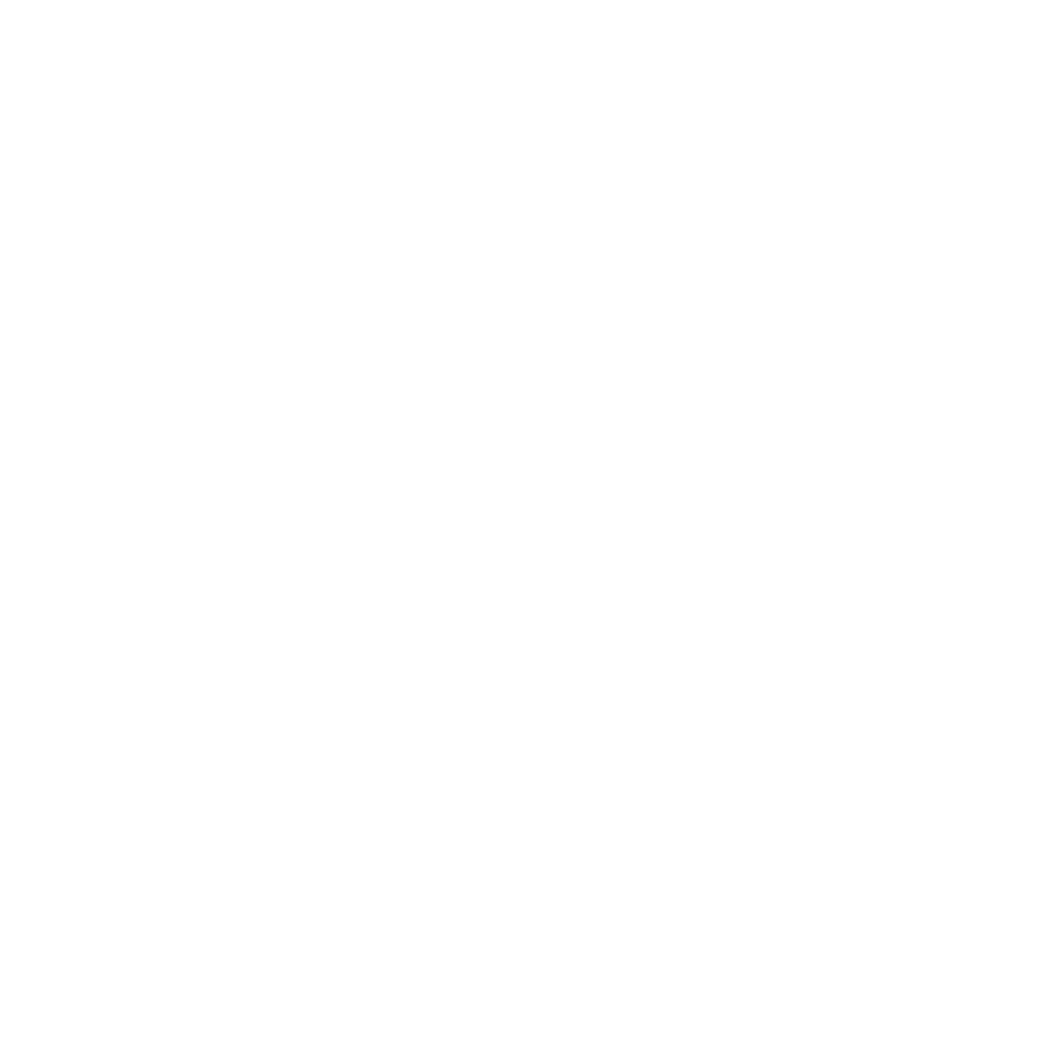 Hotel Rivulus