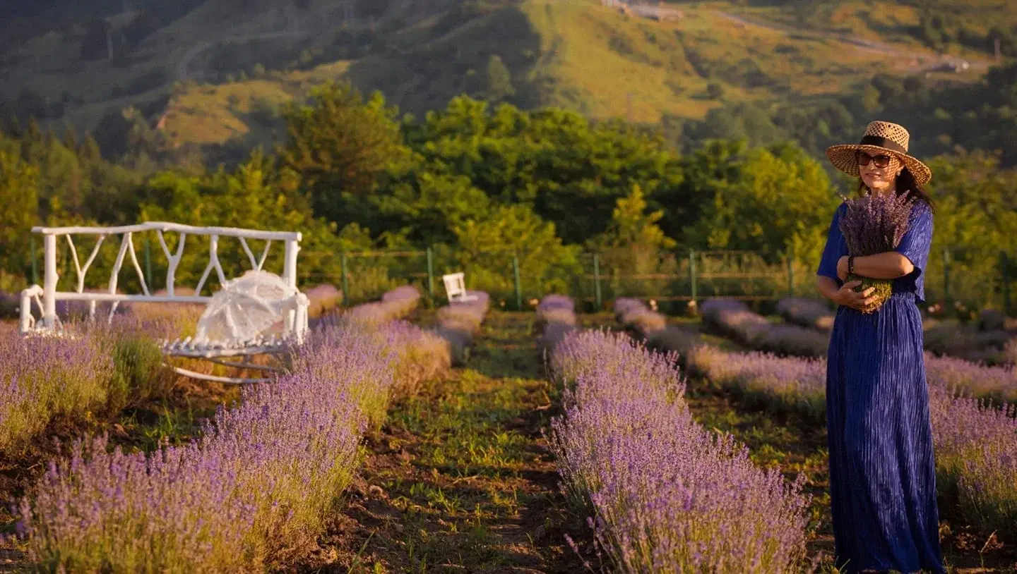 Hanul Cu Lavanda